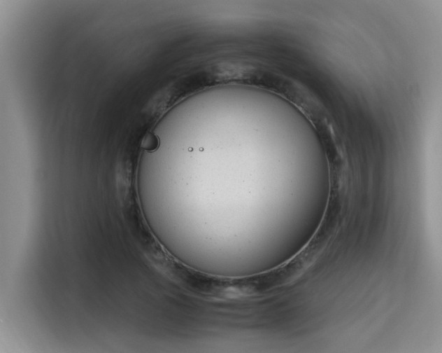 X0000115350737200911101136
