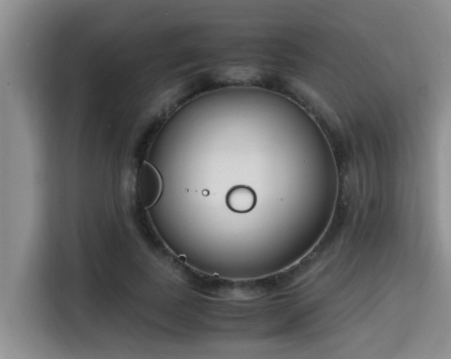 X0000115350739200911101136