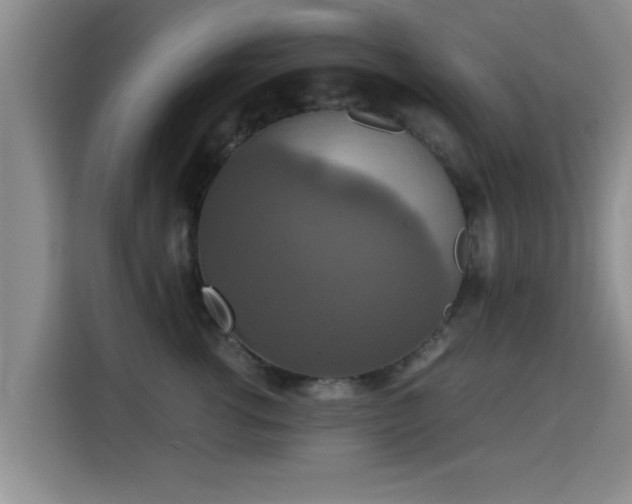 X0000115350762200911101136