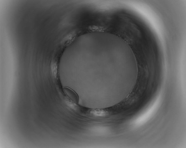 X0000115350767200911101136