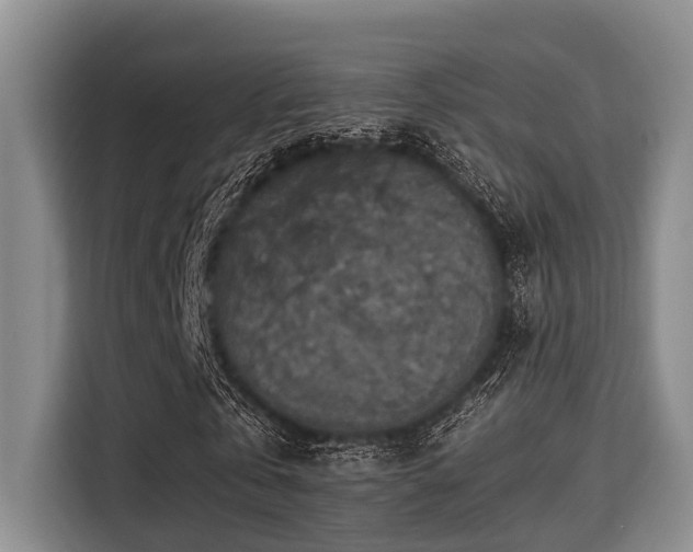 X0000115350769200911101135