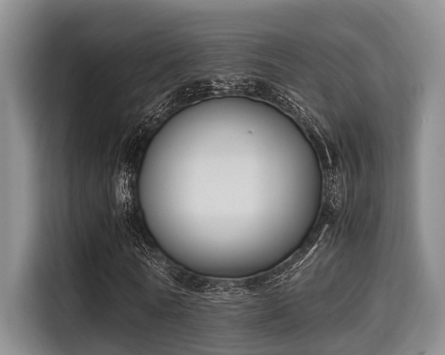 X0000115350770200911101135