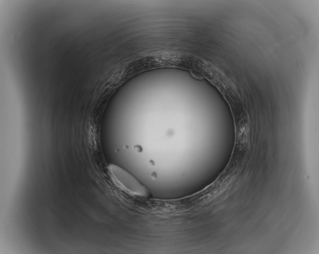 X0000115350772200911101135