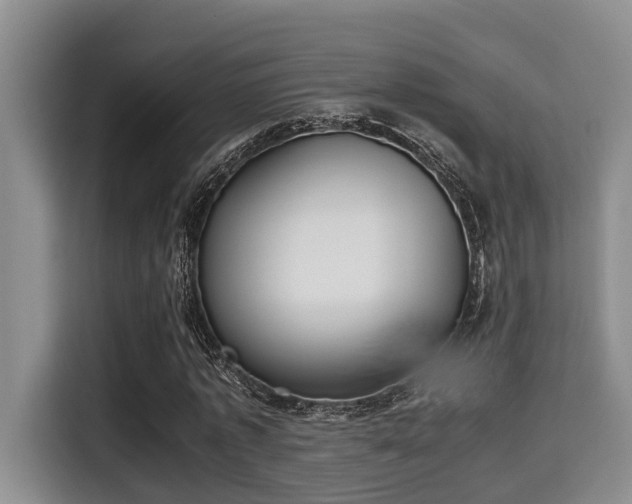 X0000115350773200911101135