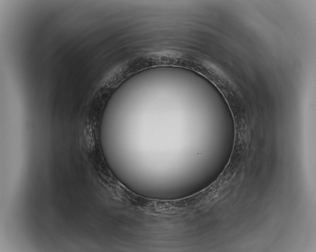 X0000115350774200911101135