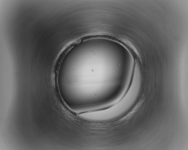X0000115350781200911101135
