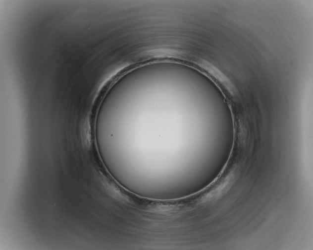 X0000115350782200911101135