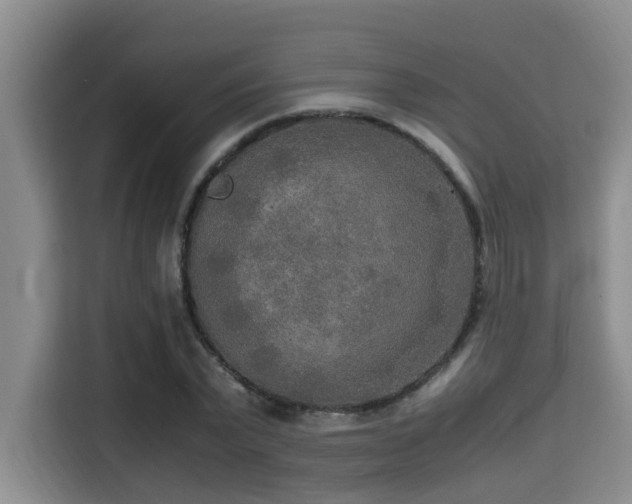 X0000115350783200911101135