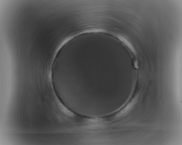 X0000115350797200911101135