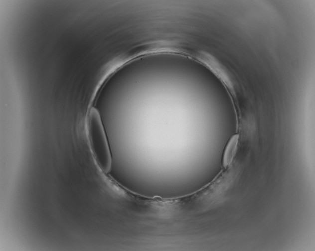 X0000115350813200911101135