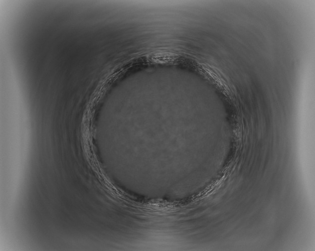 X0000115350817200911101134