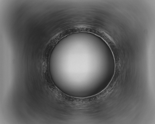 X0000115350821200911101134