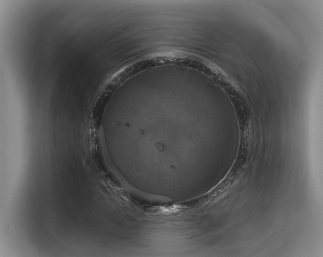 X0000115350822200911101134