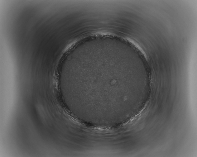 X0000115350823200911101134