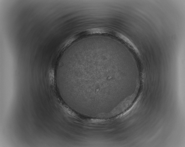 X0000115350825200911101134