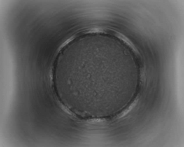 X0000115350826200911101134