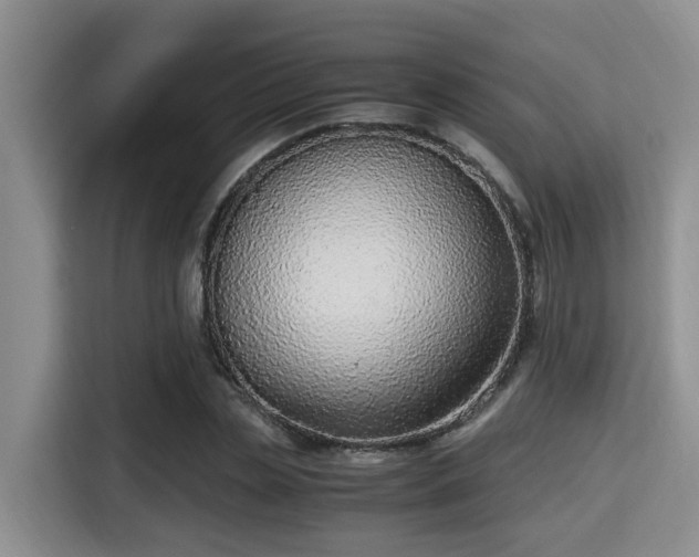 X0000115350829200911101134