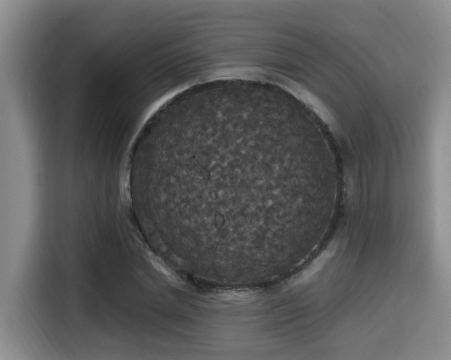X0000115350830200911101134