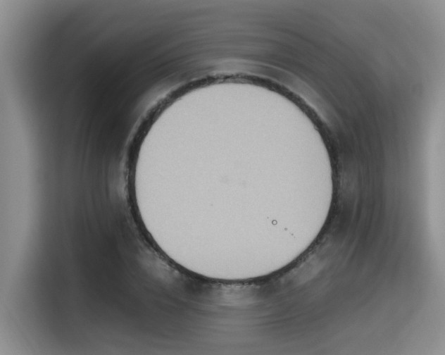 X0000115350832200911101134