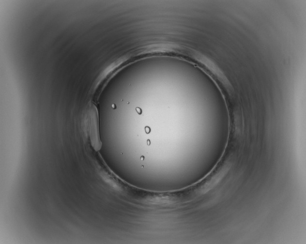 X0000115350834200911101134