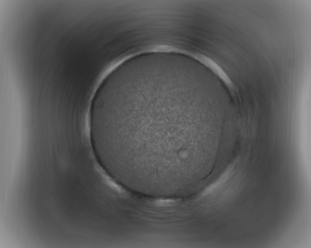 X0000115350839200911101134