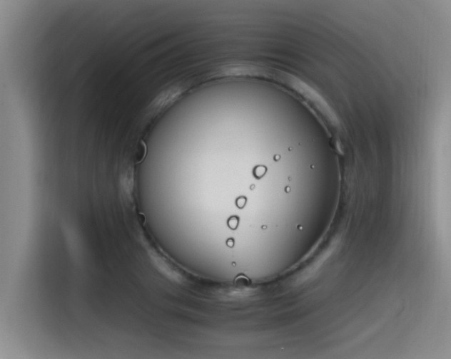 X0000115350841200911101134
