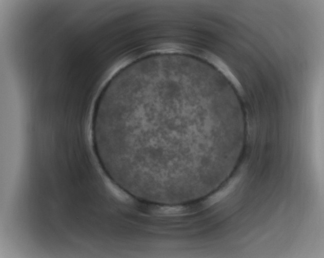X0000115350845200911101134