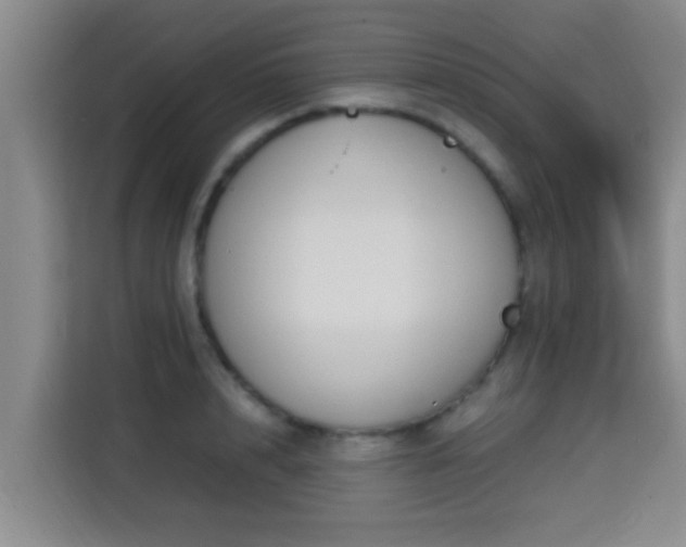 X0000115350848200911101135