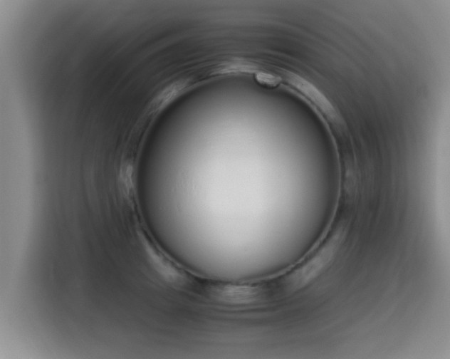 X0000115350849200911101135