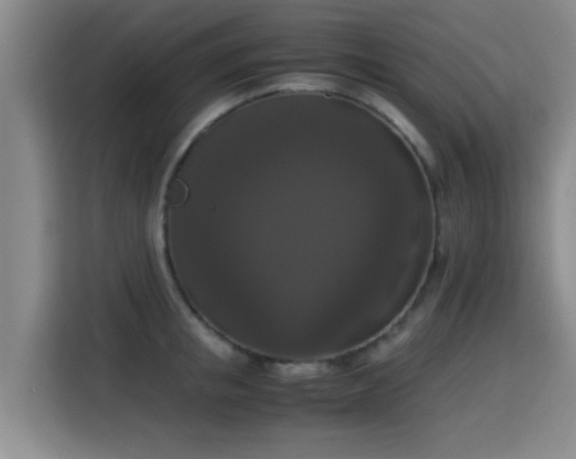 X0000115350853200911101135