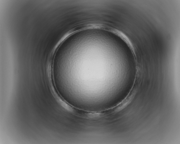 X0000115350859200911101135