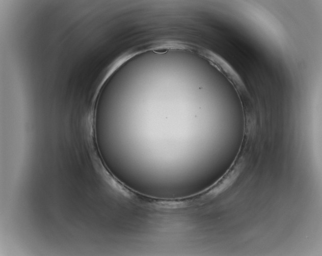 X0000115350860200911101135
