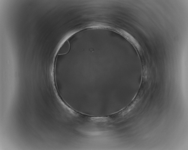 X0000115350863200911101135