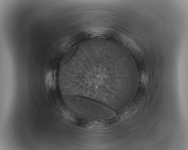 X0000115350868200911101134