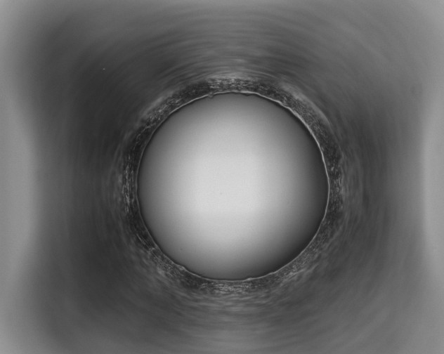X0000115350870200911101134