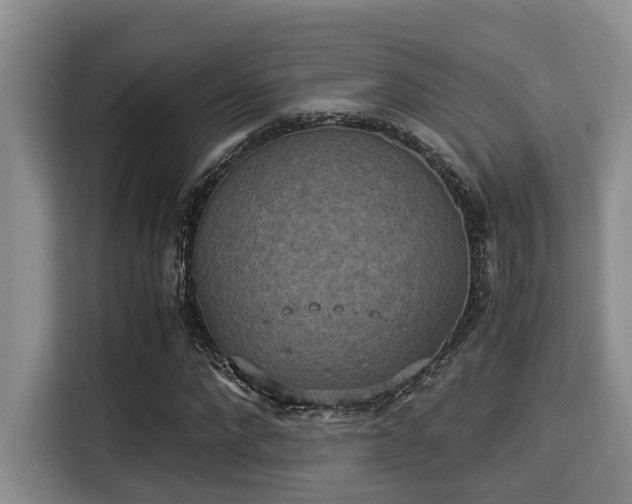 X0000115350872200911101134
