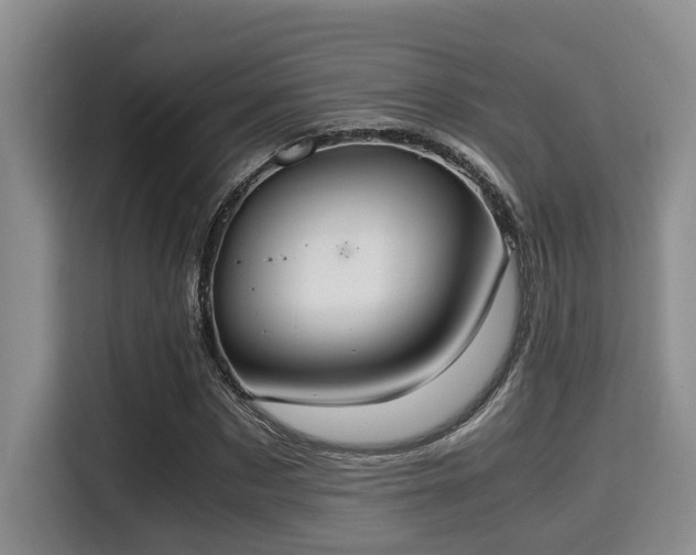 X0000115350873200911101134