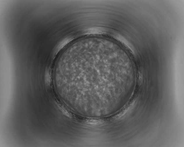 X0000115350874200911101134