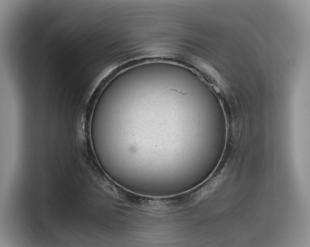X0000115350875200911101134