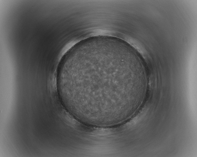 X0000115350877200911101134