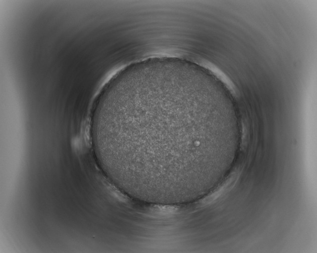 X0000115350878200911101134