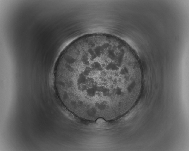 X0000115350879200911101134