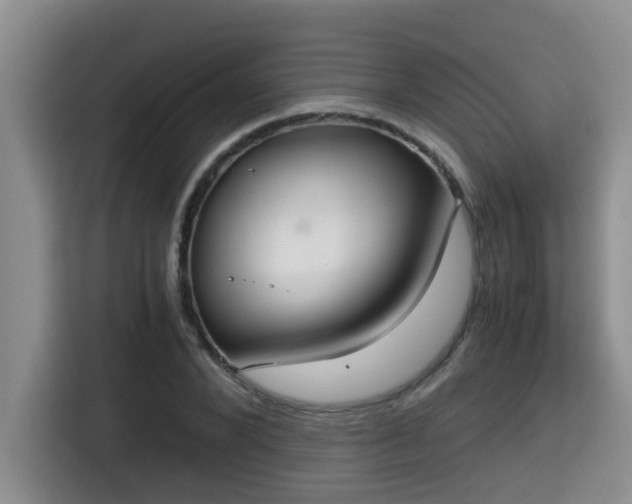 X0000115350880200911101134