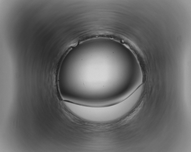 X0000115350881200911101134