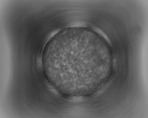 X0000115350882200911101134