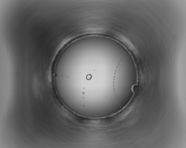 X0000115350883200911101134