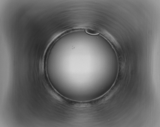 X0000115350884200911101134