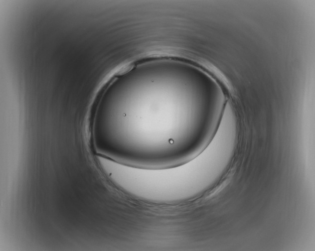 X0000115350885200911101134