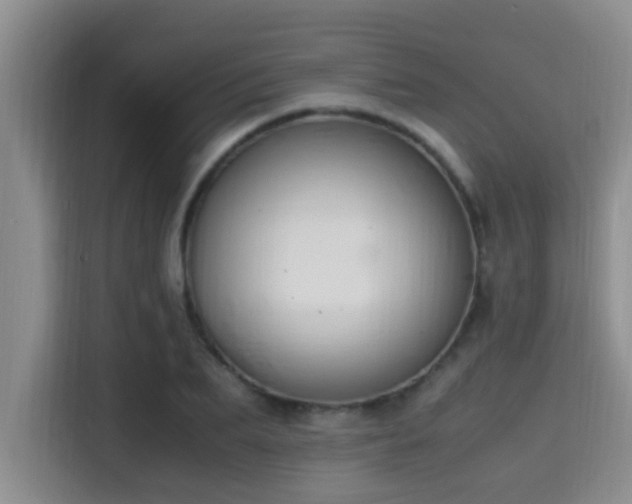 X0000115350887200911101134