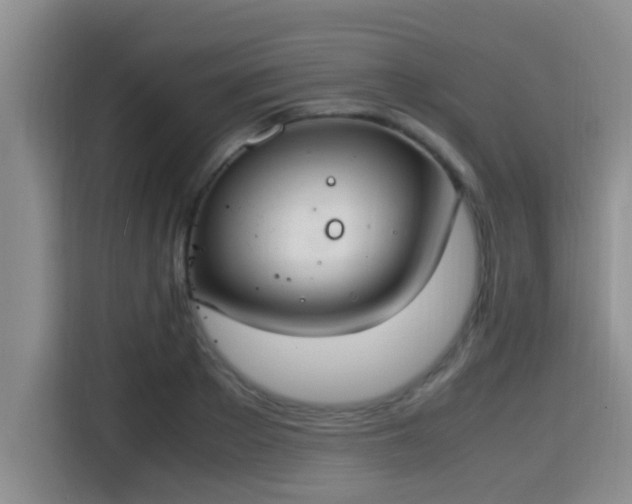 X0000115350889200911101134